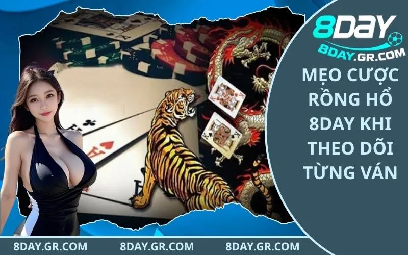 Mẹo Cược Rồng Hổ 8Day