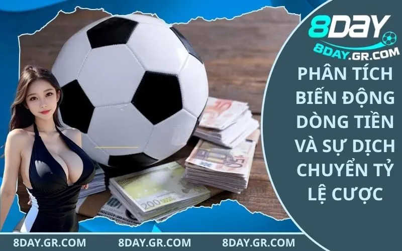 Phân Tích Biến Động Dòng Tiền Và Sự Dịch Chuyển Tỷ Lệ Cược
